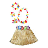 Fantasia Havaiana Kit Princesa