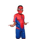 Fantasia Homem Aranha Basica