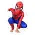 Fantasia Homem Aranha Infantil Festa De Criança Spiderman