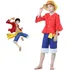 Fantasia Infantil E Adolescente Luffy One Piece Pirata 4 Pç