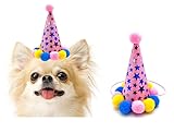 Fantasia Para Cachorro Chapéu Aniversário Festa Para Pets Cães Gato  Rosa 