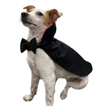 Fantasia Pet Capa Dracula