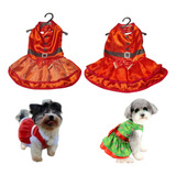 Fantasia Roupa Vestido De
