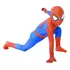 Fantasia Tradicional Luxo Infantil Homem-aranha Clássico