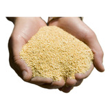 Farelo De Soja 22kg