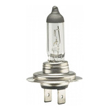 Farol Alto Kasinski Ninja