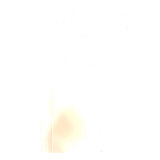 Farol L d S