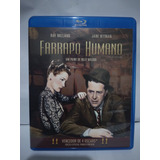 Farrapo Humano