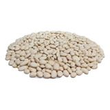 Fava Branca Qualidade Premium