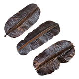 Fava De Aridan Original