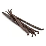 Fava De Baunilha Bourbon