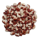 Fava Rajada Vermelha 1