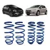 Fiat Punto Jogo Molas Esportivas + Brinde  1.4 - 1.6 
