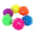 Fidget Puffer Sorriso E Nariz