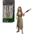 Figura Princesa Leia Vila Ewok Black Series Star Wars F435