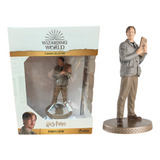 Figurine Collection Boneco Harry