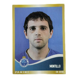 Figurinha Campeonato Brasileiro 2010