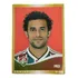 Figurinha Campeonato Brasileiro 2010 Fluminense Fred