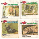 Figurinhas Ping Pong Amazonia