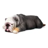 Filhote Buldogue Ingles Caes