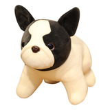 Filhote De Cachorro De