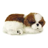 Filhote Perfect Petzzz Shitzu
