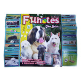 Filhotes Caes E Gatos