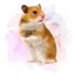 Filhotes De Hamster Sírio