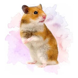 Filhotes De Hamster Sirio