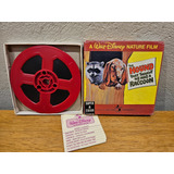 Filme Super 8mm The