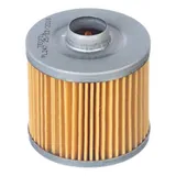 Filtro Oleo Xvs 650
