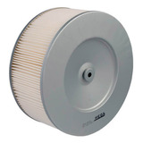 Filtro Ar Asia Motors