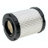Filtro Ar Motores Briggs