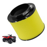 Filtro Ar Quadriciclo Honda