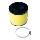 Filtro Ar Quadriciclo Honda