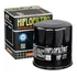 Filtro De Óleo Buell 1200 Lightning Xb12 S 04-08 Hiflo Hf177