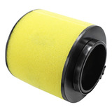 Filtro De Ar Trx450
