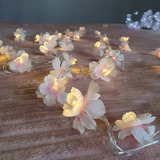 Fio De Luz