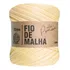 Fio De Malha Fischer Premium Cores Especiais Crochê Tricô Cor Amarelo Bebê
