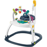 Fisher Price Baby Gear Cadeira Pula-pula Div Espacial