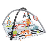 Fisher Price Ginasio Atividades