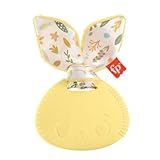Fisher price Newborn Toys