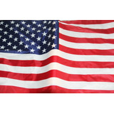Flamula Americana 