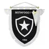 Flamula Botafogo Futebol Regatas 1904