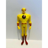 Flash Reverso Jlu Liga
