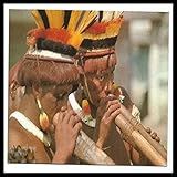 Flauta Indígena E Sons Da Natureza Acalmar E Relaxar A Mente