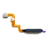 Flex Biometria Botao Digital