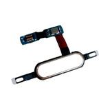 Flex Digital Botao Home