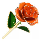 Flor De Rosa Preservada Eterna 