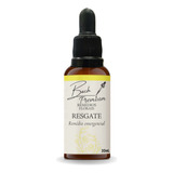 Floral De Bach Premium